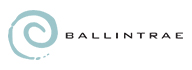 Web Development Services for Ballintrae