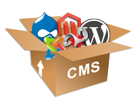 Website Development Content Management Systems