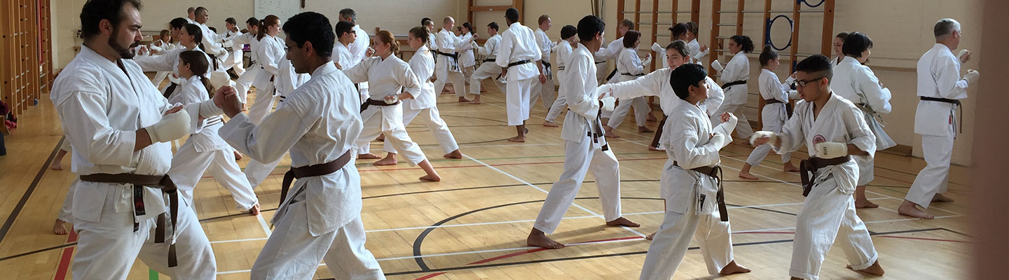 Website Development for Shotokan Karate England