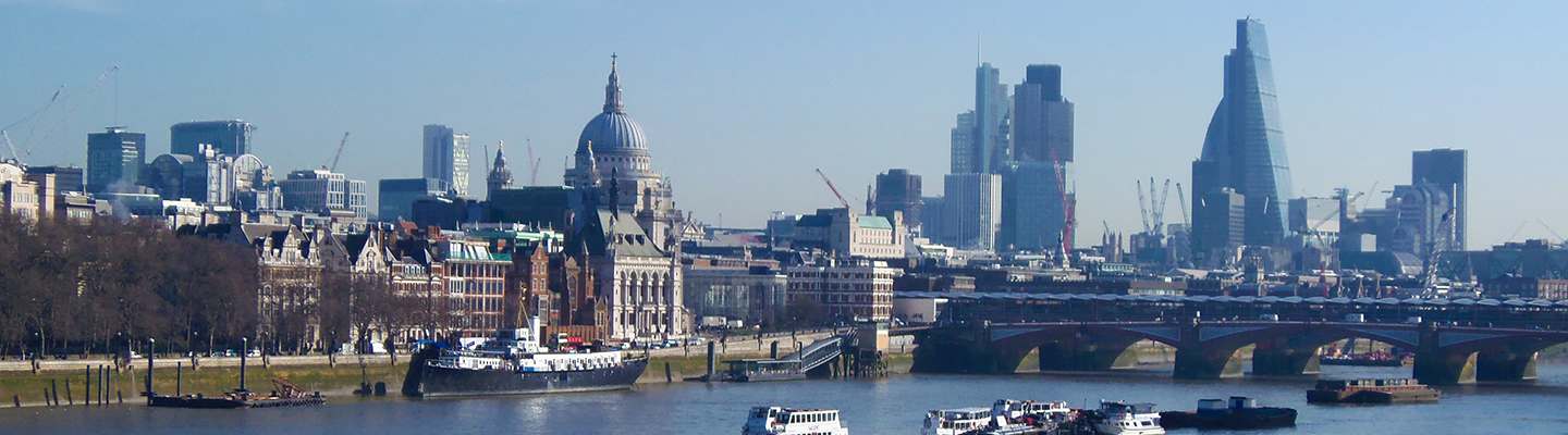 Website Development for Thinkmap